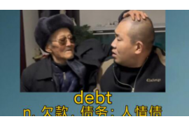 北碚如何避免债务纠纷？专业追讨公司教您应对之策